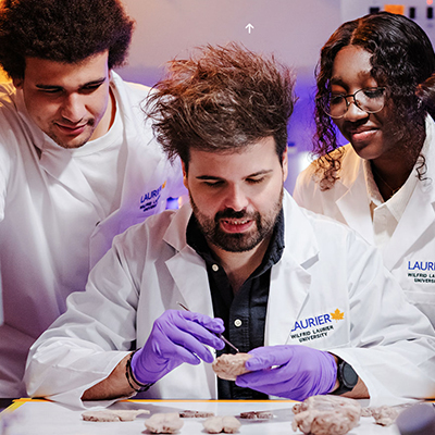 Deciphering the mysteries of the brain